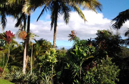 Kapoho Bed & Breakfast | Lava Tree Tropic Inn