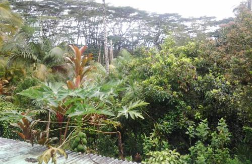 Kapoho Bed & Breakfast | Lava Tree Tropic Inn