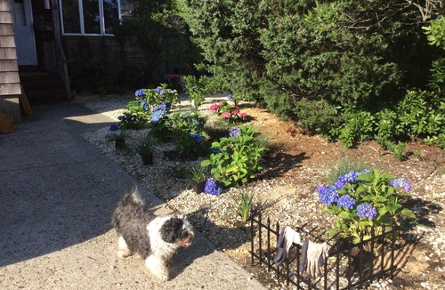 Lavallette House | Lavallette Bay Front Duplex upstairs. Beautiful Views. Both Available