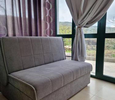 Zbicina Apartment | Lavanda apartman 1