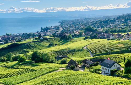 Lutry House | #Lavaux