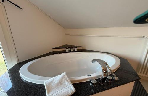 Blumenstein Apartment | LaVida Star Alpine Hideaway Thun, Sauna, free parking