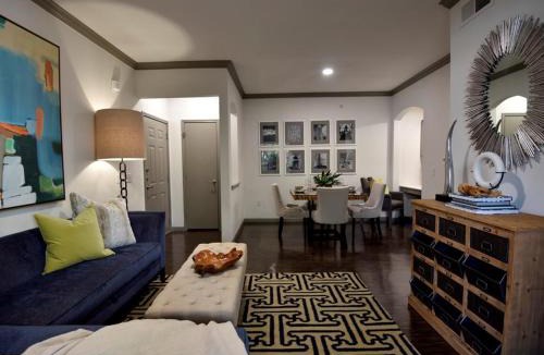 Astrodome Apartment | Lavish Apartment near Houston Medical Centre