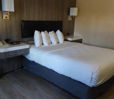 Puget Hotel | Lavissh Inn and Suites