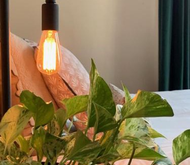 Josselin Bed & Breakfast | Le 14 St Michel