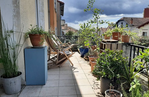 Roseraie Villa | Le 16 🐝