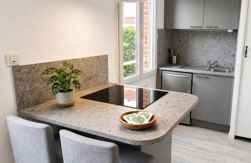 Valenciennes Apartment | Le 28 Studio - Terrace & jardin Proche Tram