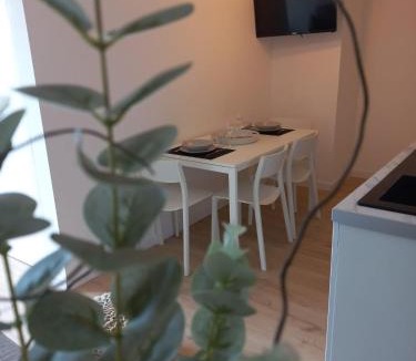 Agen Apartment | Le 29 spacieux , wifi et climatisation