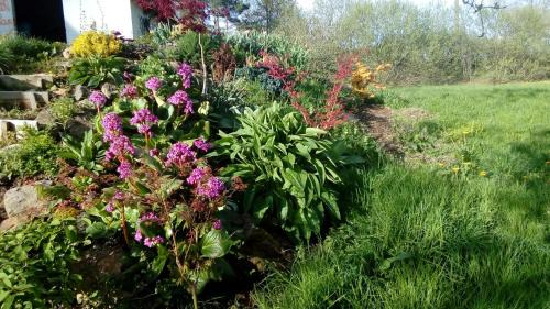 Saint-Sauveur-la-Sagne House | Le 46