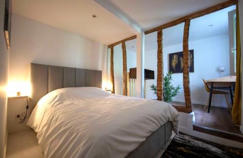 Montargis Apartment | Le Art Déco - Sauna - Centre Ville