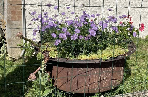 Asnois House | Le Balét - Asnois - Gîte