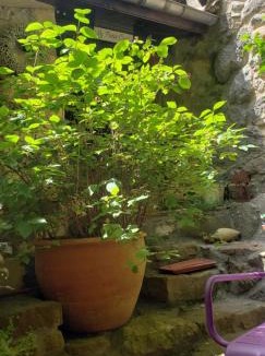 Camps-sur-l'Agly Apartment | le balcon