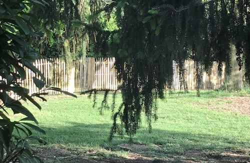 Castelvieilh House | Le Balcon