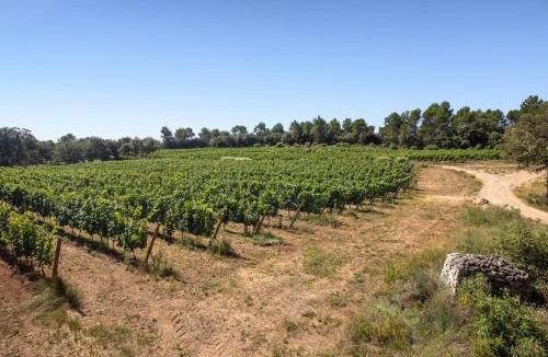Villecroze Bed & Breakfast | Le Barretian
