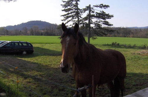 Fox-Amphoux House | Le Bastidon le Pavillon