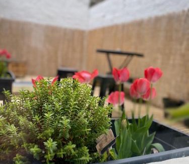 Gare Apartment | Le beffroi