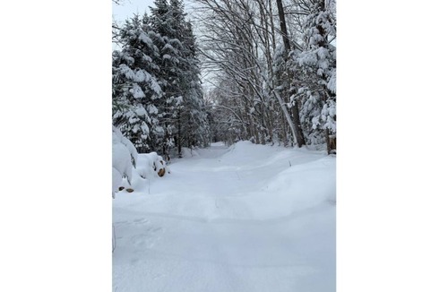 Lac Beauport House | Le Bellissime