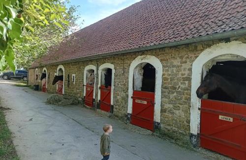 Bazinghen House | Le Big Family - LE MONT DE LA LOUVE