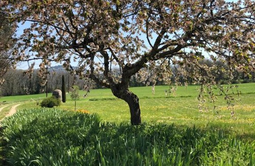 Cereste Apartment | Le bois de Sibourg