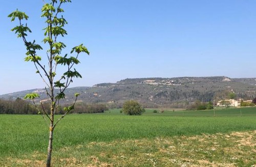 Cereste Apartment | Le bois de Sibourg