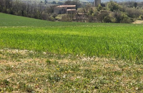 Cereste Apartment | Le bois de Sibourg