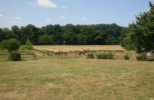 Domfront-en-Champagne House | Le Bois Guillaume