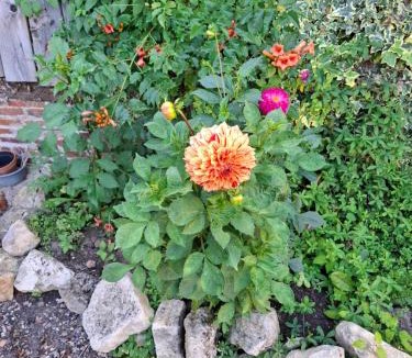 Le Mesnil-Mauger Bed & Breakfast | Le Bois Rouland