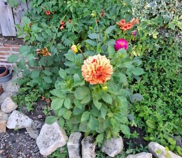 Le Mesnil-Mauger Bed & Breakfast | Le Bois Rouland