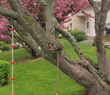 Noyers-sur-Cher House | LE BOISSANTÉ - Zoo à 10 mn - Jeux pour enfants