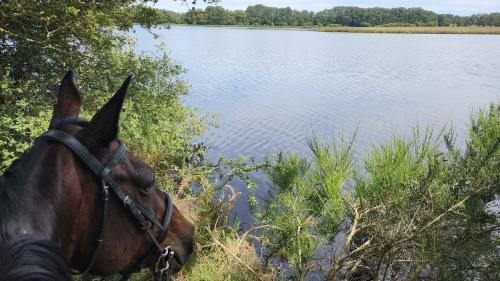 Saint-Martin-le-Mault Ski Chalet | Le bol d'air