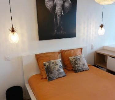 Rodez Apartment | Le Bompard 50 m2 Villa Art Déco Plein centre avec jardin