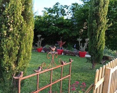 Suevres Bed & Breakfast | LE BONHEUR DES HÔTES