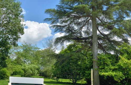 Les Rosiers-sur-Loire House | Le Bosquet des Rosiers/Bords de Loire/Piscine