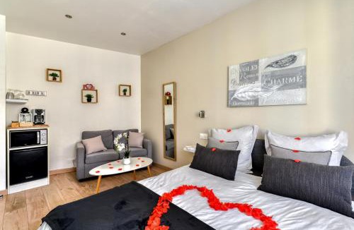 Le Bourg Apartment | Le Bourget - Suite et Envolée romantique avec Jacuzzi