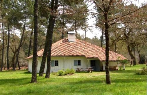 Luglon House | Le bourrut