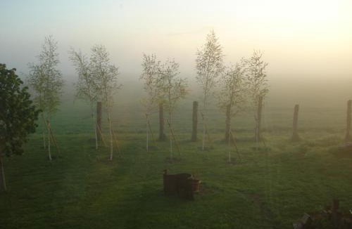 Garigny Bed & Breakfast | Le Briou