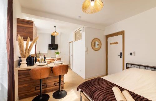 Agen Apartment | Le Brun - T1 climatisé - Terrasse et jardin privé