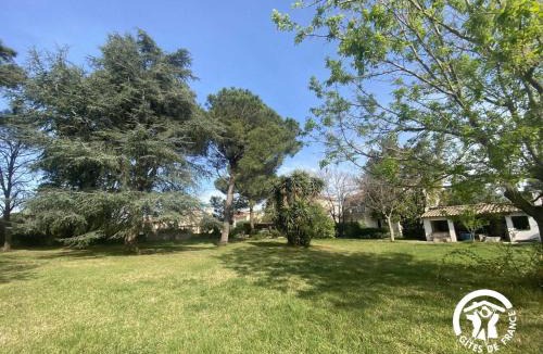 Latour-Bas-Elne House | Le cèdre du parc de la dame