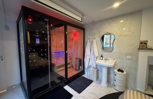 Saumur Apartment | Le Cadre Noir Lux Spa, Sauna, Jacuzzi