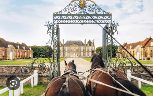 Conde-sur-Sarthe House | Le calme dans 100M2