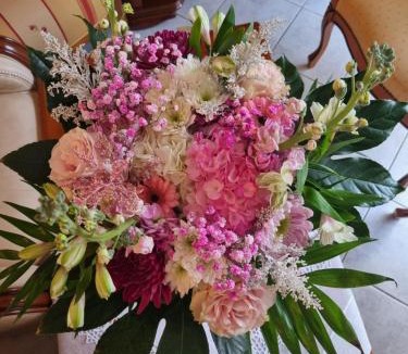 Plesse Bed & Breakfast | Le calme