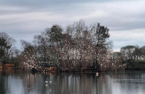 Plesse Bed & Breakfast | Le calme