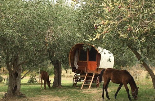 Cucugnan Other | Le Camping de Cucugnan