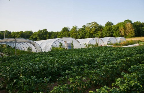 Troussures Other | Le Camping de Ma Petite Ferme