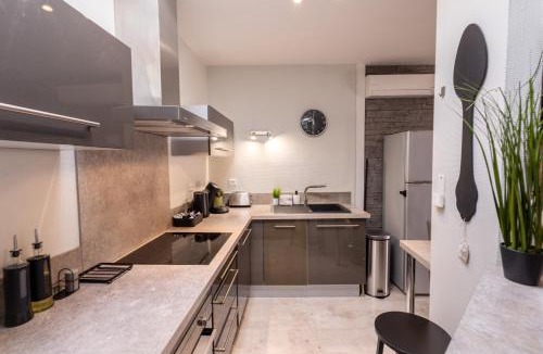Castres Apartment | Le Canopé - Duplex Confort, Hypercentre, 2 Salles d'eau