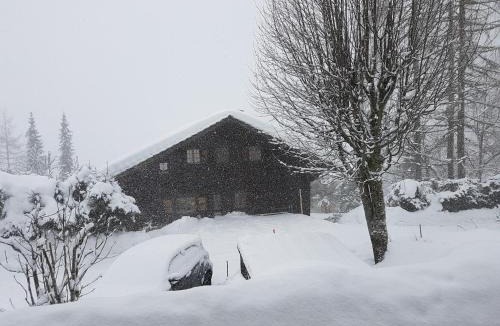 Morgins Bed & Breakfast | le castor