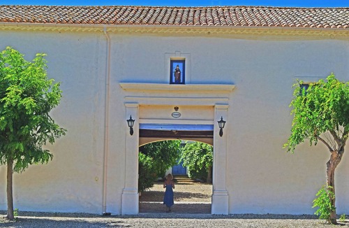 Nizas Villa | Le Caveau spacious vintage vineyard villa at DOMAINE SAINT FERREOL