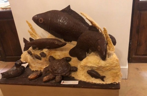 Lisle-sur-Tarn Apartment | LE Ccocon Tropical