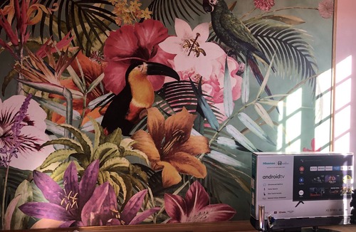 Lisle-sur-Tarn Apartment | LE Ccocon Tropical