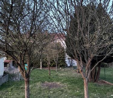 Fraize Apartment | Le cerf au pied des montagnes et des lacs